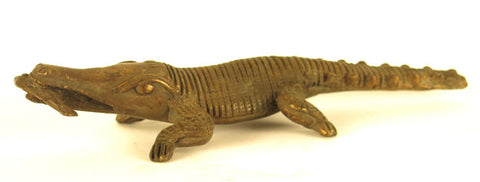 African Bronze Crocodile with a Fish