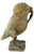 African Bronze Wise Owl