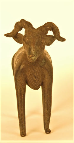 African Bronze Goat