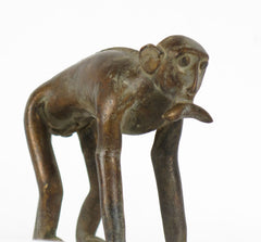 African Bronze Monkey